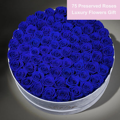 Everlasting Rose Arrangement